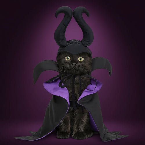 Halloween Dog Cloak with Hat Sleeping Curse Female Cloak Cat Hat Pet Clothing Supplies Dog Decoration